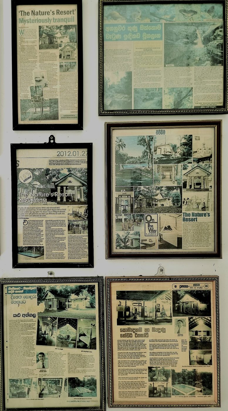 Framed newspaper articles about The Nature's Resort displayed on the reception wall