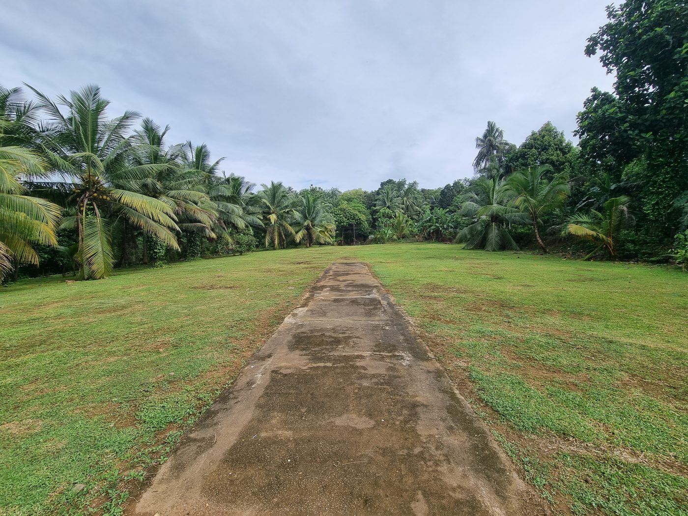 Turf cricket pitch running down the main ground