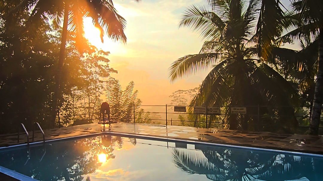 Main pool at sunset, framed by coconut palms