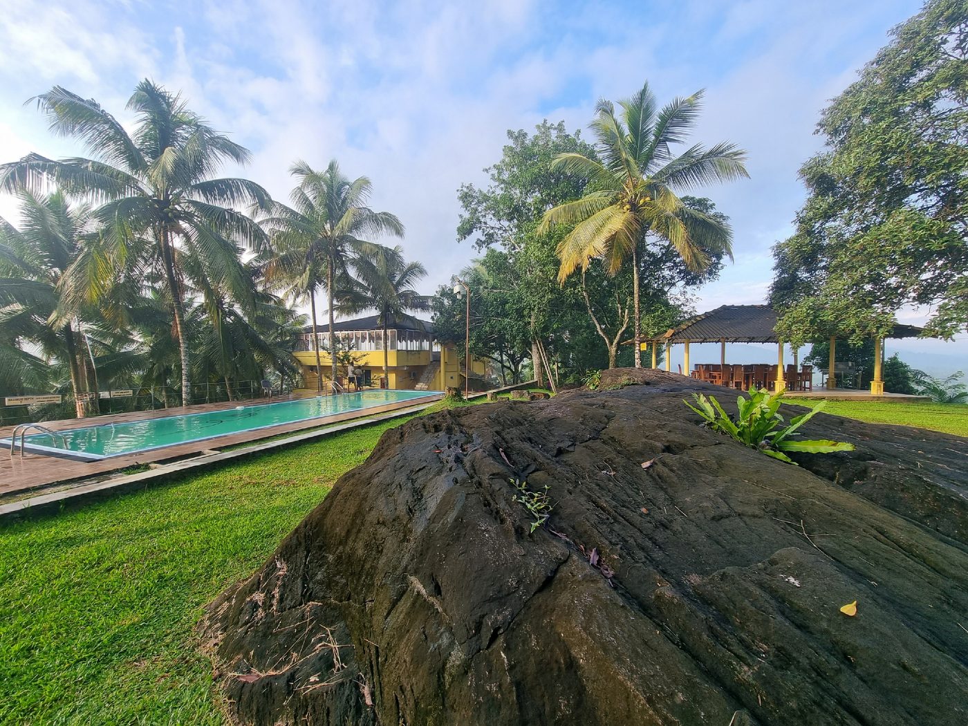 Pool, lawn and natural rock outcrop with the guest wing beyond